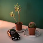 Avocado Center- Pet Friendly! Πούλα