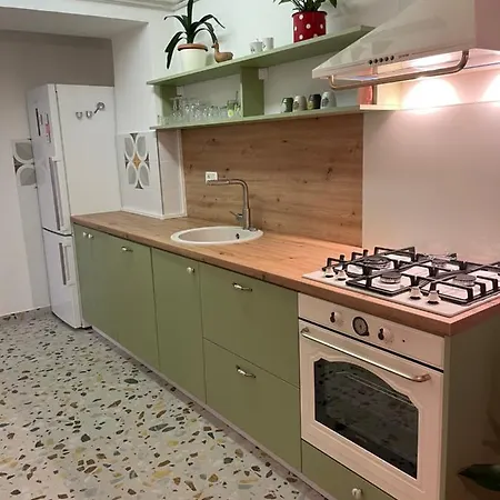 Avocado Center- Pet Friendly! Póla