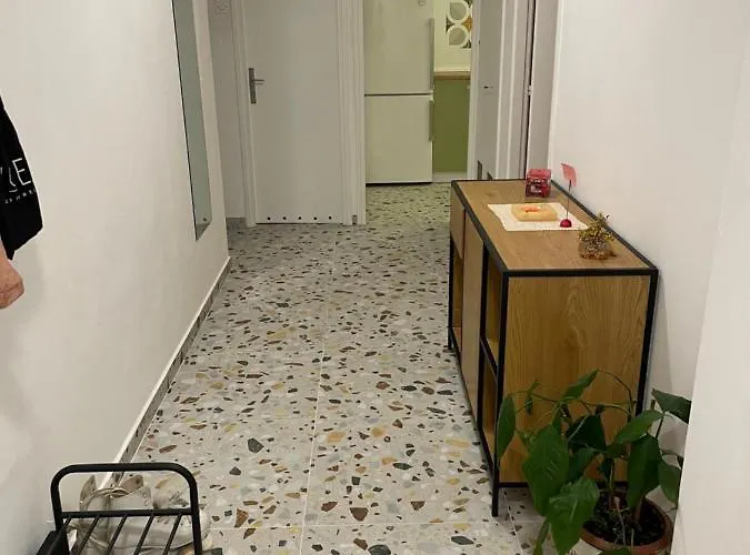 Avocado Center- Pet Friendly! Apartamento