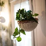 דירה Avocado Center- Pet Friendly!