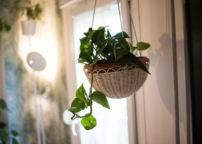 Daire Avocado Center- Pet Friendly!